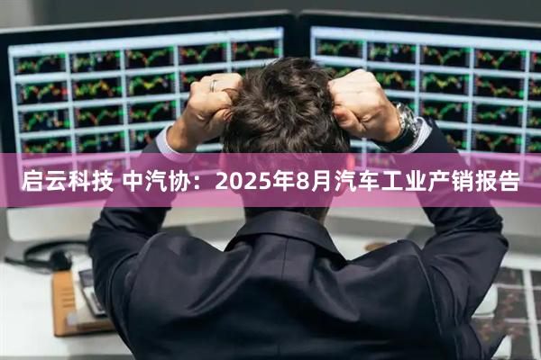启云科技 中汽协：2025年8月汽车工业产销报告