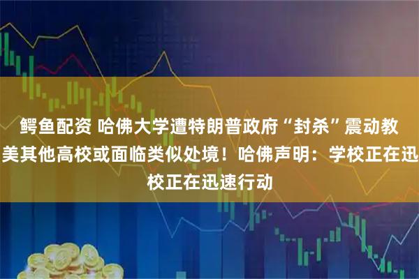 鳄鱼配资 哈佛大学遭特朗普政府“封杀”震动教育界！美其他高校或面临类似处境！哈佛声明：学校正在迅速行动